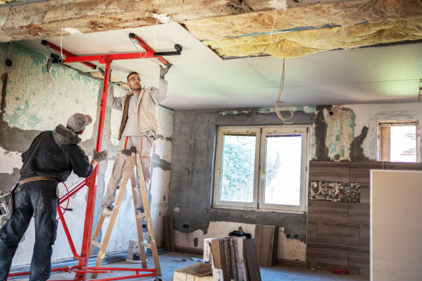 Best Residential Insulation in Hawi, HI